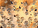 EFFETS A PARTIR DE BILLES 2.gif